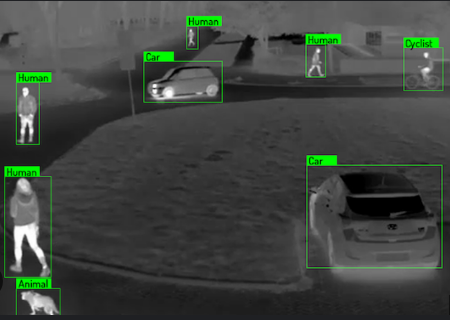 Tracking of tiny animals from thermal images